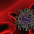 Le VIH se pare d’une cape d’invisibilité… que l’on pourrait retirer