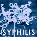 Le retour de la syphilis et autres infections sexuellement transmissibles